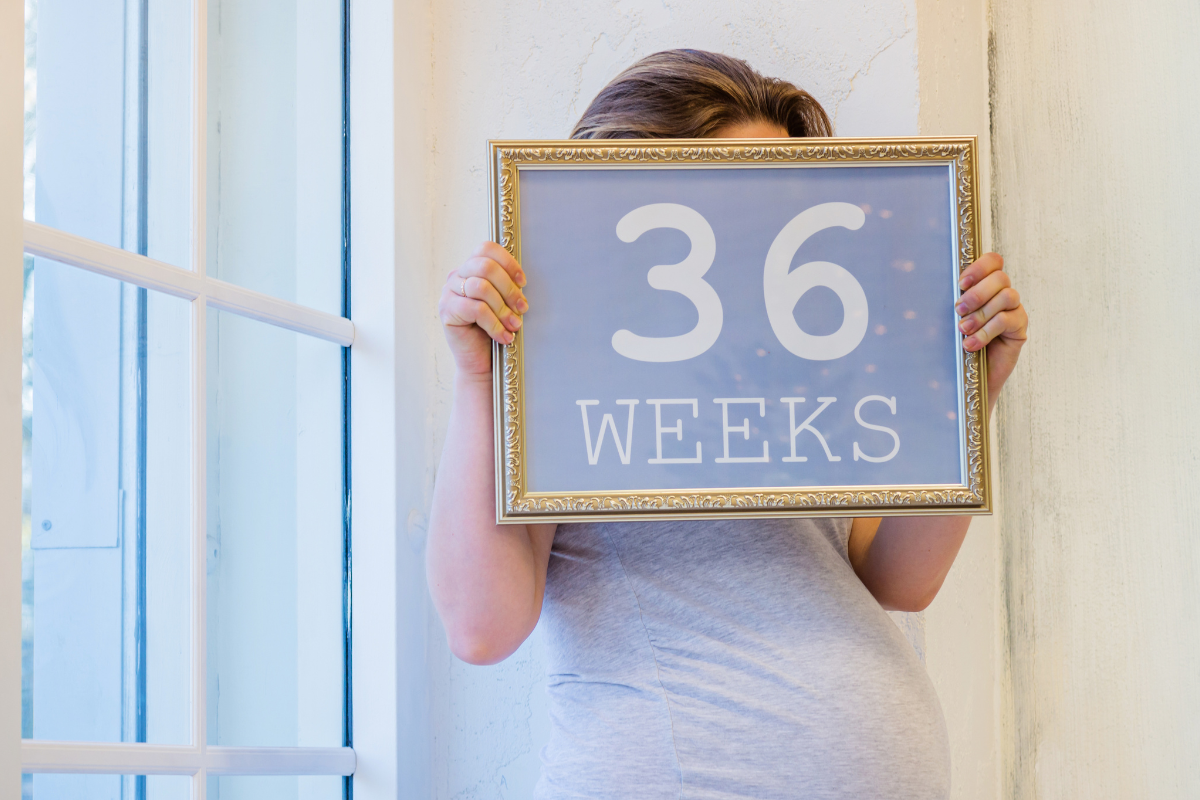 Cómo Calcular Las Semanas de Embarazo